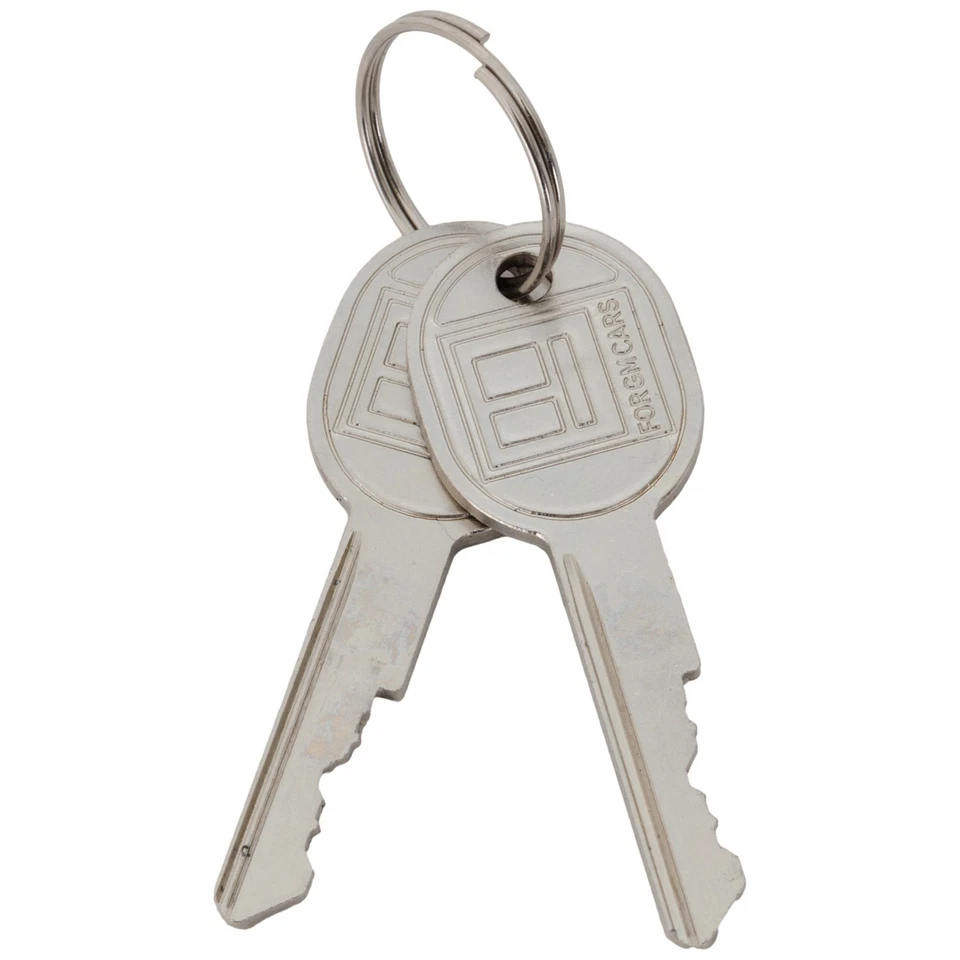 Juego de 2 cilindros de bloqueo de puerta delanteros para Olds Chevy Cutlass SaVana Blazer par Foto 4 de 4