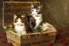 Cherry and two cats Giclee art Oil painting printed on canvas L3294
