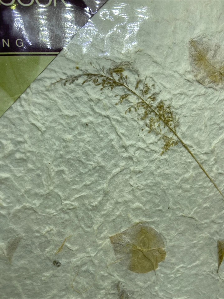 Álbum de recortes MBI The Album People 12" x 12" Mulberry carga superior 20 páginas nuevo Foto 3 de 4