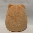 Foto 6 di 6