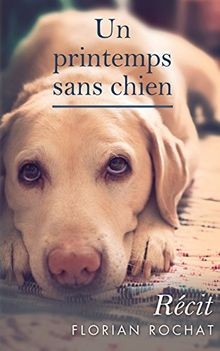 Un printemps sans chien von Rochat, Florian | Buch | Zustand sehr gut