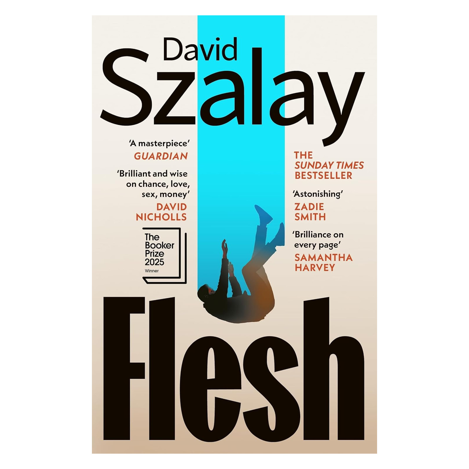 Flesh Book Paperback David Szalay Softcover Novel