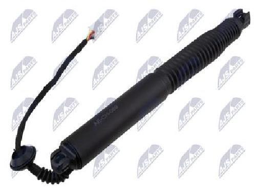 Original NTY Electric Motor Tailgate AE-CH-069 For Tesla