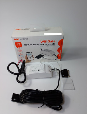 SCS Sentinel, AAM0125 - Angeschlossenes Empfaengermodul fuer Motorisierung