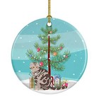 Foldex Exotic Fold Cat Merry Christmas Ceramic Ornament Ck4768Co1