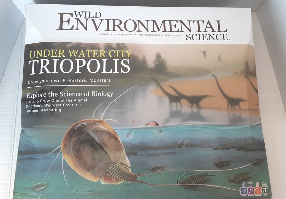 WILD ENVIRONMENTAL SCIENCE Under Water City Triopolis Science Kit