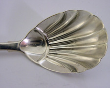 VICTORIAN ENGLISH SOLID STERLING SILVER CADDY SPOON 1854 SHELL PATTERN