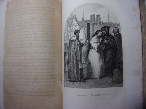 1844.Arnould, Alboize & Maque. Histoire de la Bastille + Le Donjon de Vincennes - Picture 8 of 12