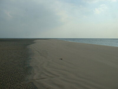 Foto 6x4 Wellenmuster am Rand von South Bank Borth-y-Gest c2007