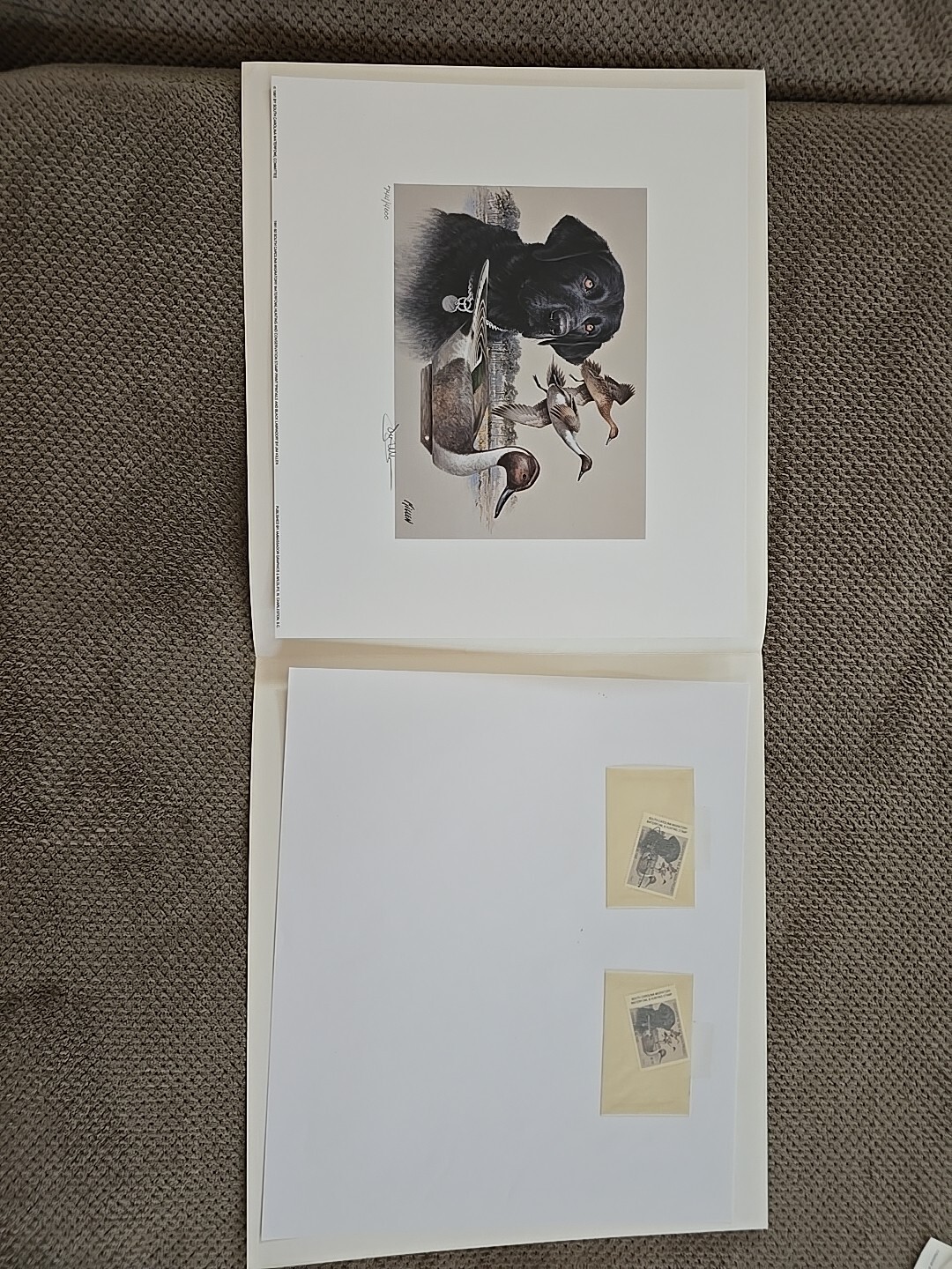 Picture 2 of 9