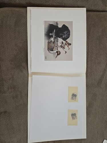 Vintage 91' S.C. Migratory Waterfowl Hunting and Conservation Stamp Print Stamps - Picture 2 of 9