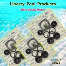 Universal Slide Valve Rebuild Kit 65023 BY Liberty For Pentair & Pac Fab  3-PACK