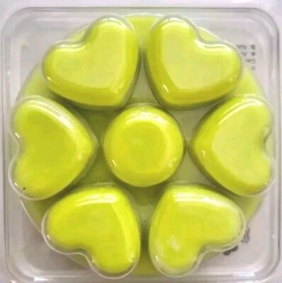 PartyLite ELDERFLOWER & MINT SHY2029 OVP Scent PLUS Melts Hearts Holunder  