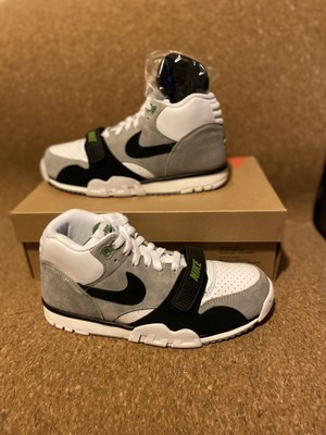nike trainer sb