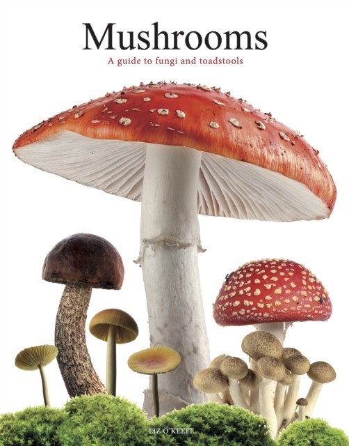 Mushrooms : A Guide To Fungi And Toadstools Liz O'keefe - Image 3