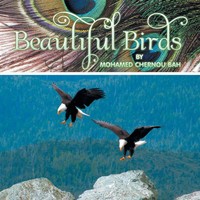 Beautiful Birds Mohamed Chernou Bah Taschenbuch Kartoniert / Broschiert Englisch