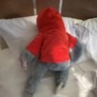 Sloth Plush Stuffed Animal Gray Red White Hoodie "Chill Out" Small 6-14 in — photo 1