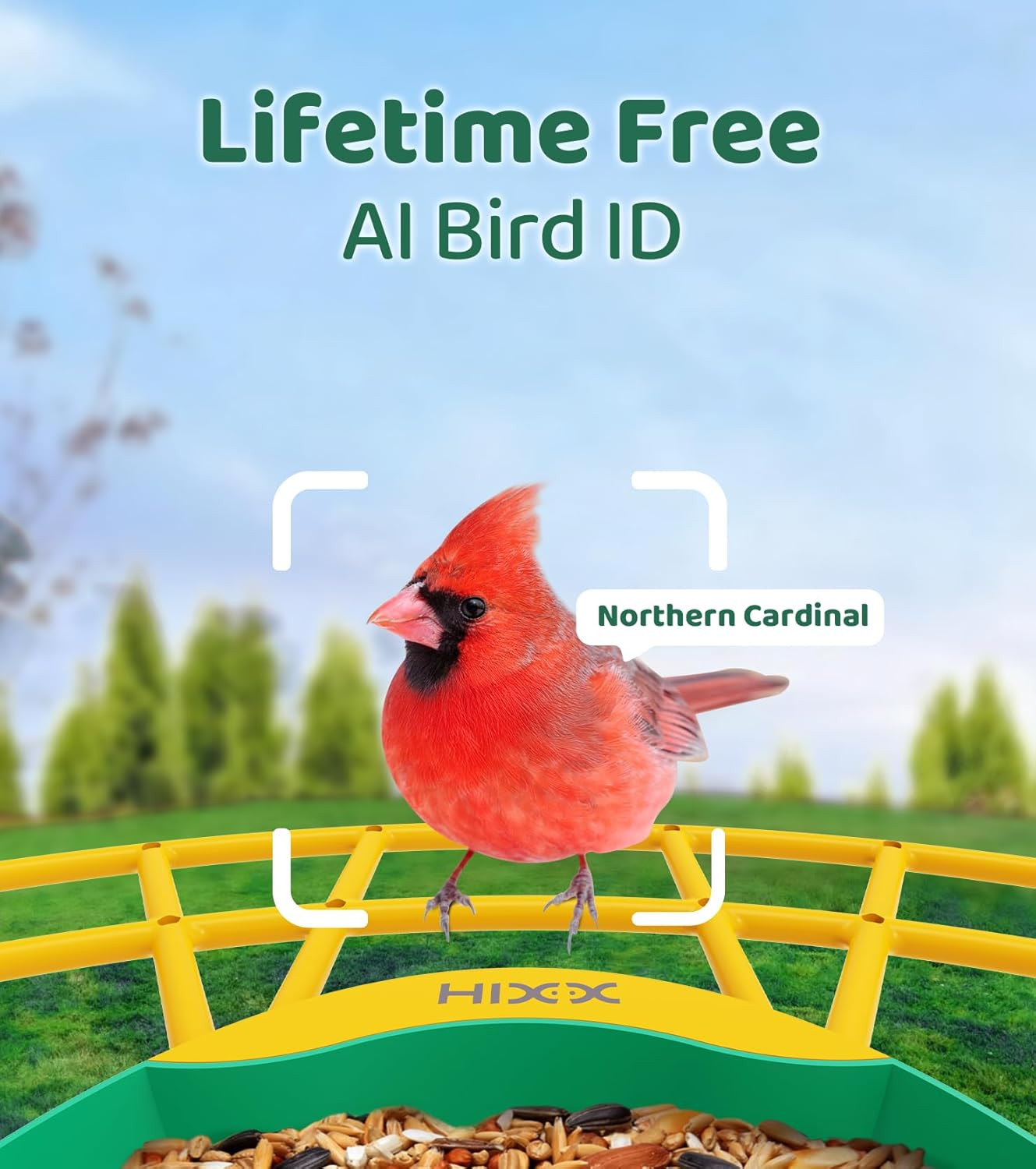 Smart Bird Feeder with Camera, Lifetime Free AI Identify Birds, Solar-Powered 2K