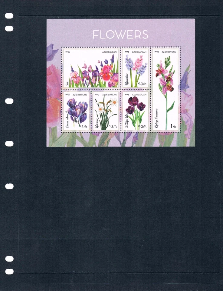$7.50 Scott Value - 2023 AZERBAIJAN Flower s/s Central Asian MNH NH UMM - Image 2 of 4
