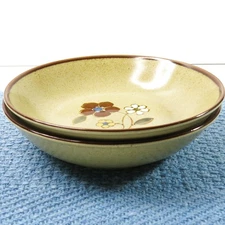 Noritake Stoneware Cereal Soup Salad Bowl 8 1/2"  8578 Zest Japan SET OF 2