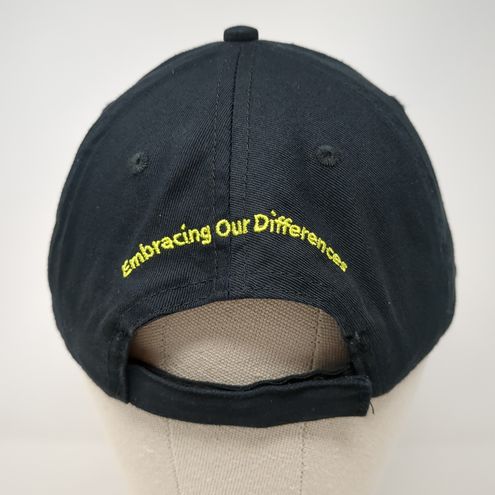 Boise Cascade Embracing Our Difference Baseball C… - image 6