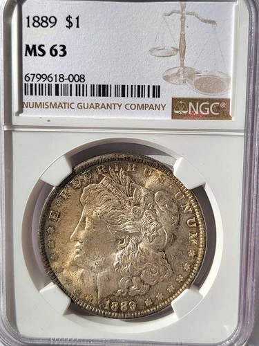 1889-P NGC MS-63 Nicely Toned Obverse & Reverse Morgan Silver Dollar #282