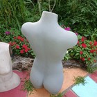 Bild 7 von 16