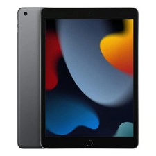 NEW Apple iPad 9th Gen 2021 256GB Wifi+Cellular Unlocked Grey iOS Pristine A++
