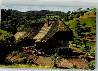 39984794 - a typical house Uvachrom No. 5079 series 353 Black Forest house