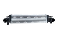 LadeluftkÜHler FÜR Ford C-MAX II (DXA/CB7, Dxa/Ceu) - NRF 309068