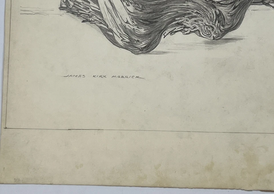 "Arte James Merrick de colección dibujo surrealista madera a la deriva flotante en el desierto 11x14""" Foto 2 de 4