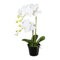 artplants Kunststoff Phalaenopsis Orchidee Wenjan, Dekotopf, Weiß, 55Cm