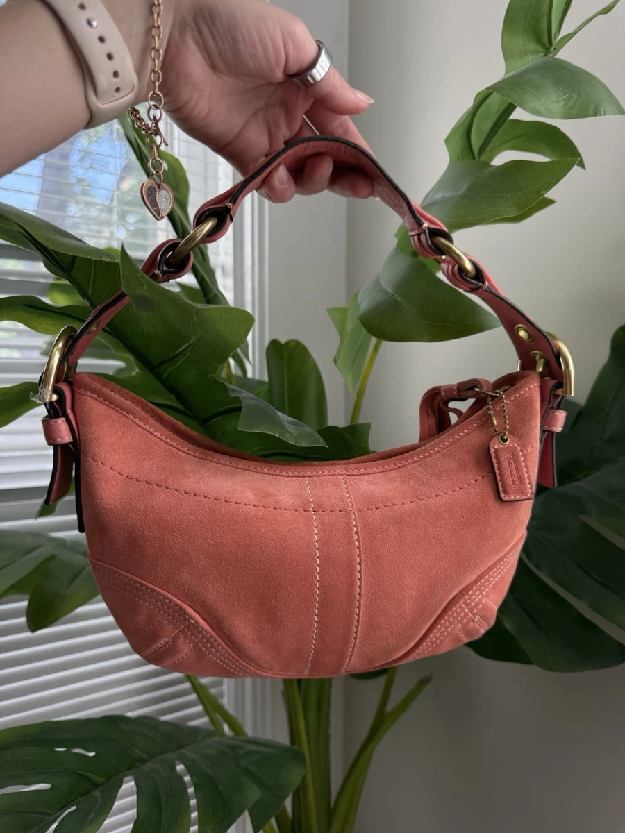 Coach Hampton Hobo Handbags & Bags Suede Exterior for Women for