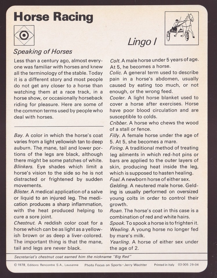 LINGO I Horse Racing History Secretariat Photo 1978 SPORTSCASTER CARD ...