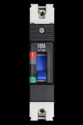 DORMAN SMITH 100 AMP 16kA MCCB GB1P100 LOADLINE