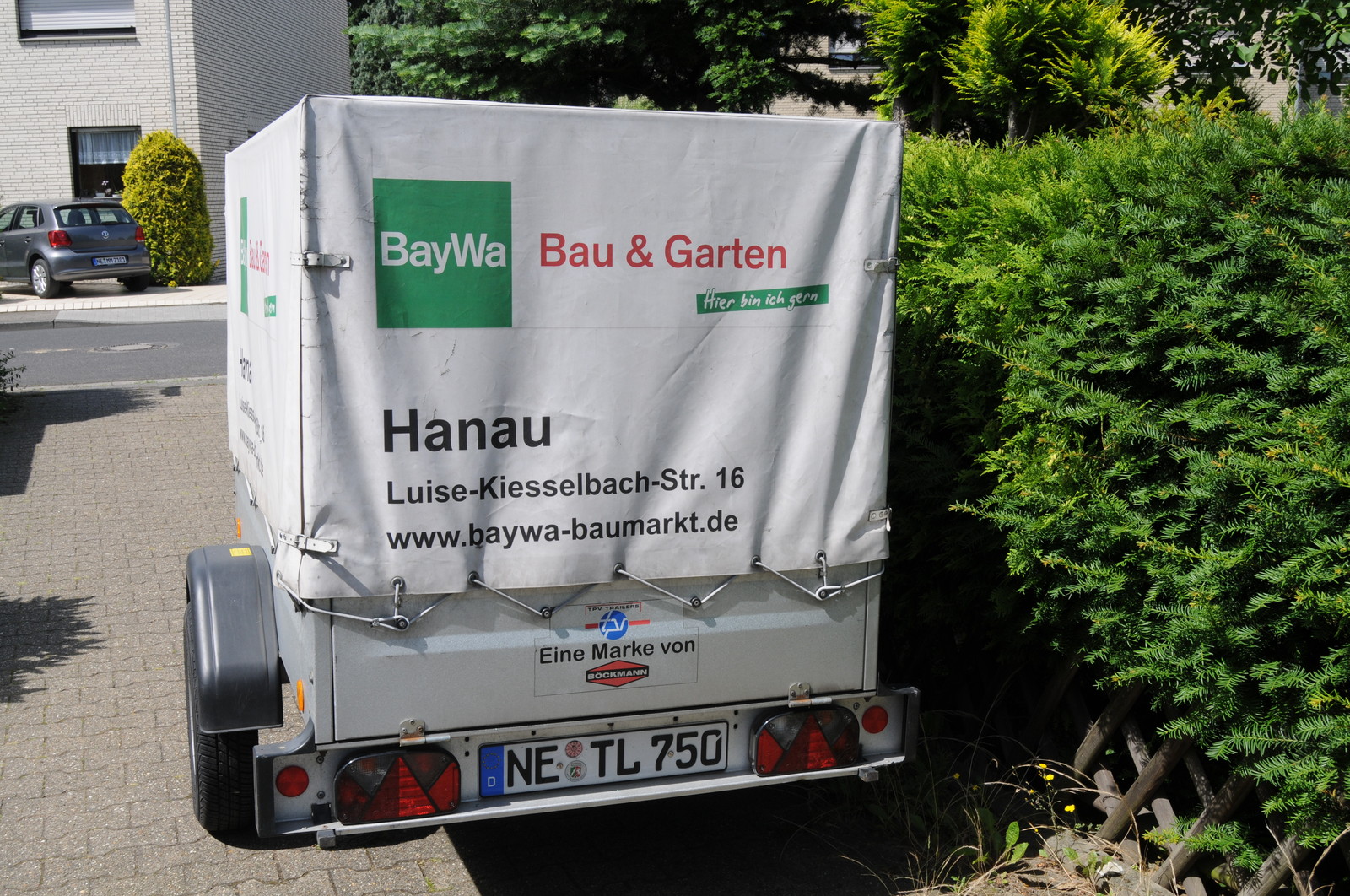 Bild 12 von 12