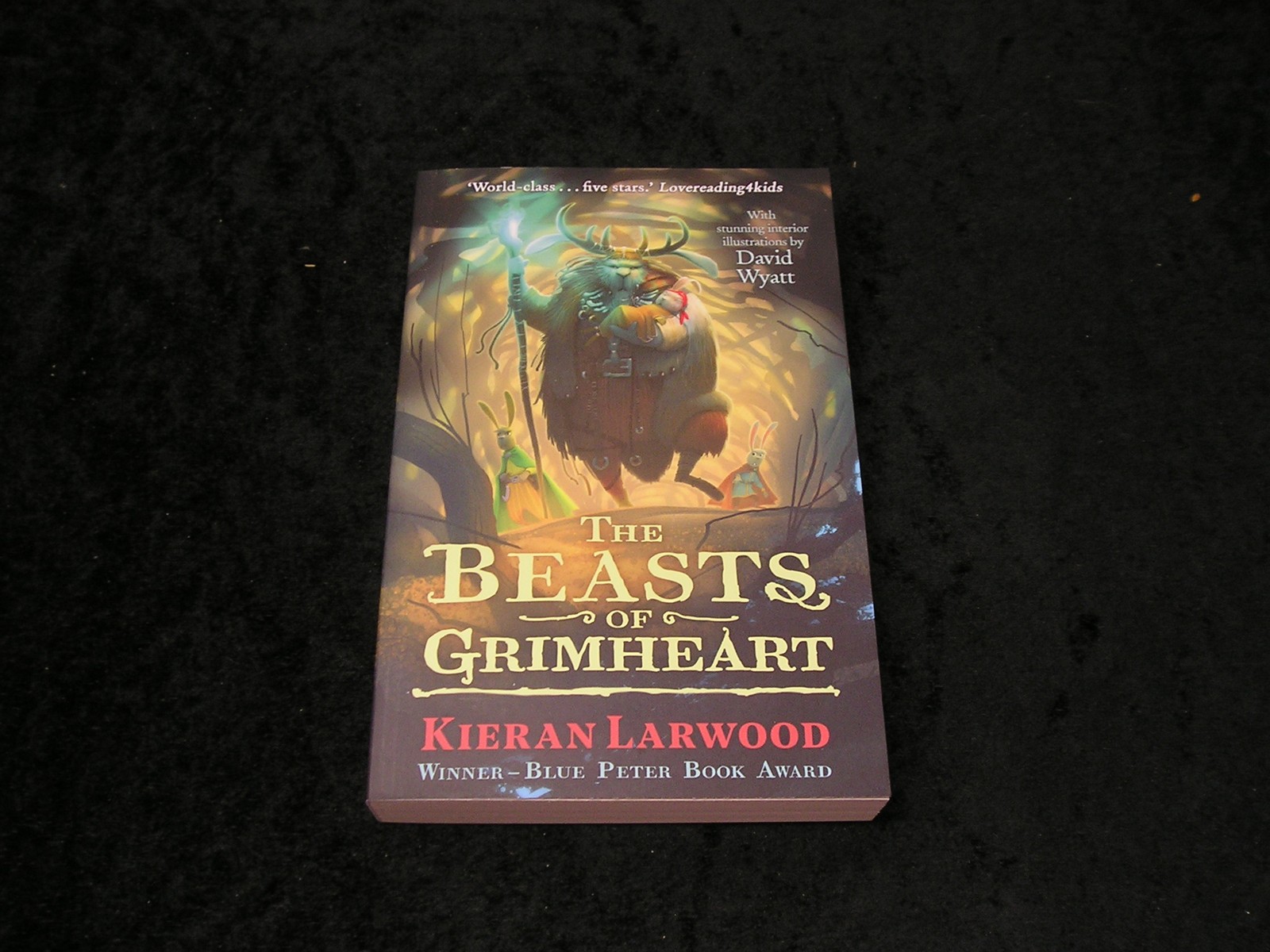 The Beasts of Grimheart Kieran Larwood The Five by Kieran Larwood PAPERBACK - Image 2