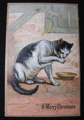 Ant. 1880s Victorian Calling Card A Merry Christmas with a Cat Licking its Paw