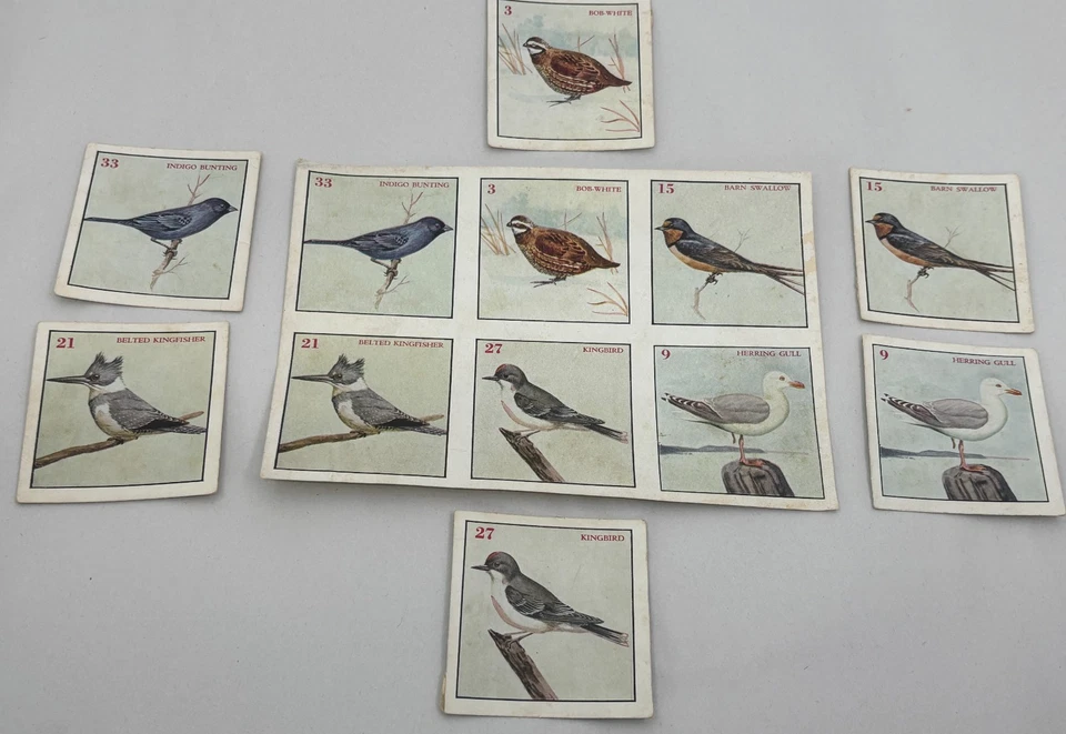 Unbranded Vintage Bird Art Memory Matching Game Missing 1 Card Estate Sale Find - Image 4 of 4