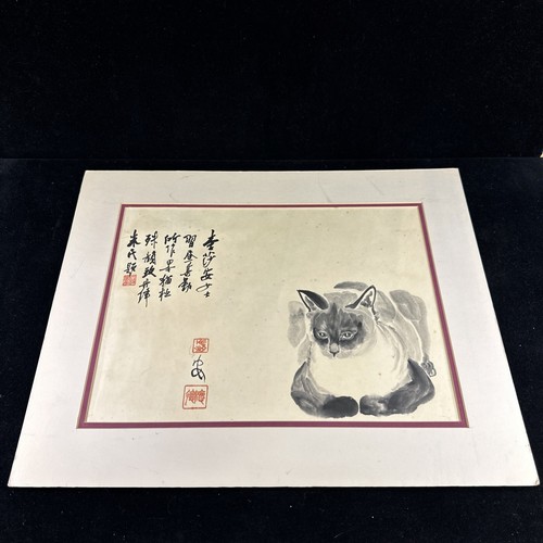 CHINESE GREY EYES CAT ORIGINAL WATERCOLOR PAINTING SIGNED