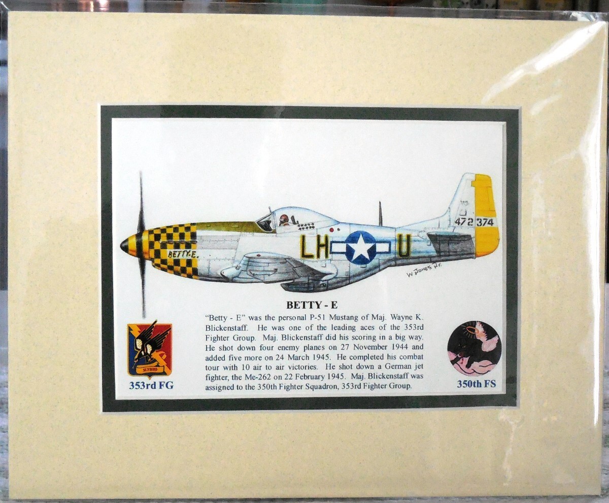353FG Wayne Blickenstaff's P-51 
