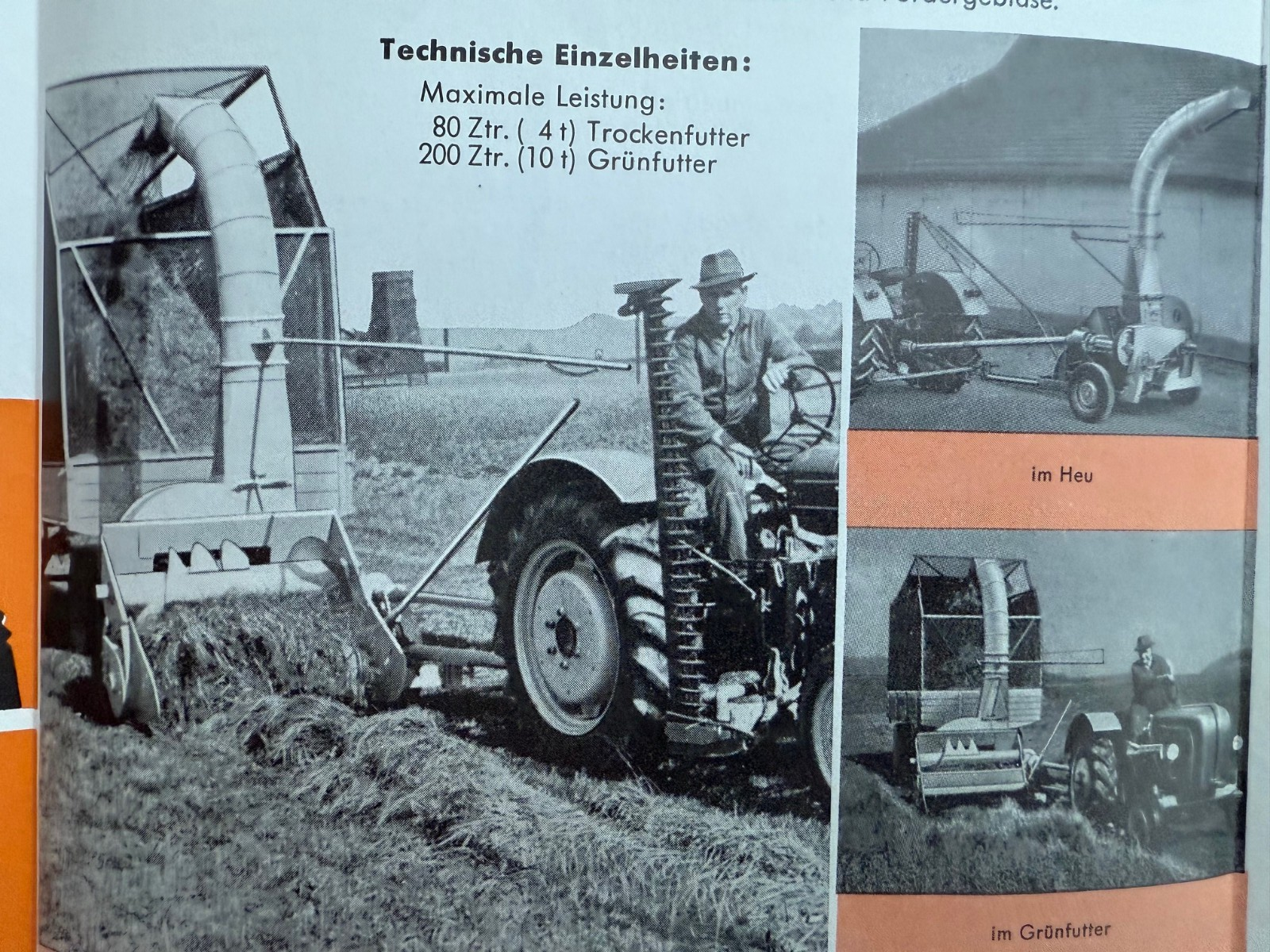 Bild 12 von 12