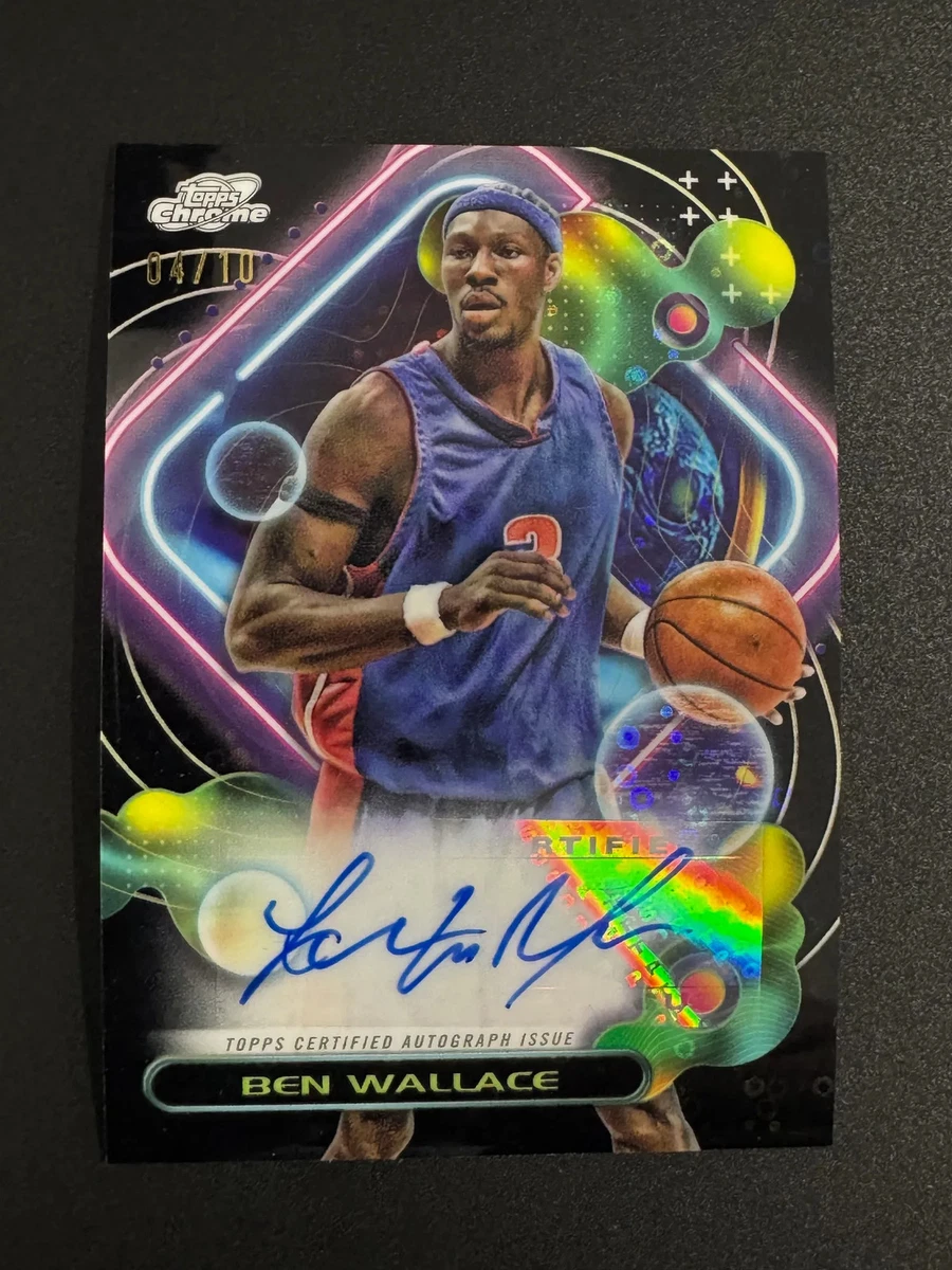 National Basketball Association (NBA) Ben Wallace Basketball