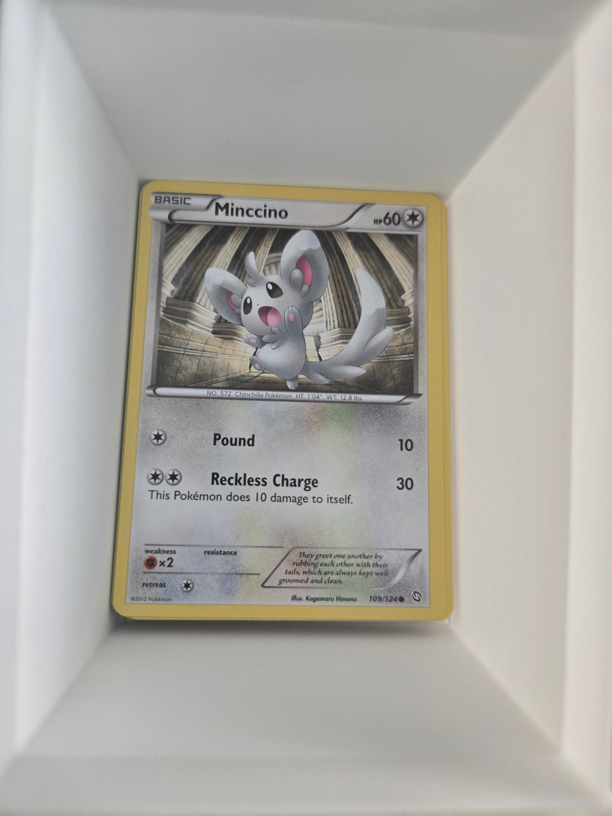 Minccino Common Dragons Exalted 109/124 NM
