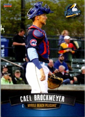 2016 Choice Myrtle Beach Pelicans Minor League - Pick Choose Your Cards 