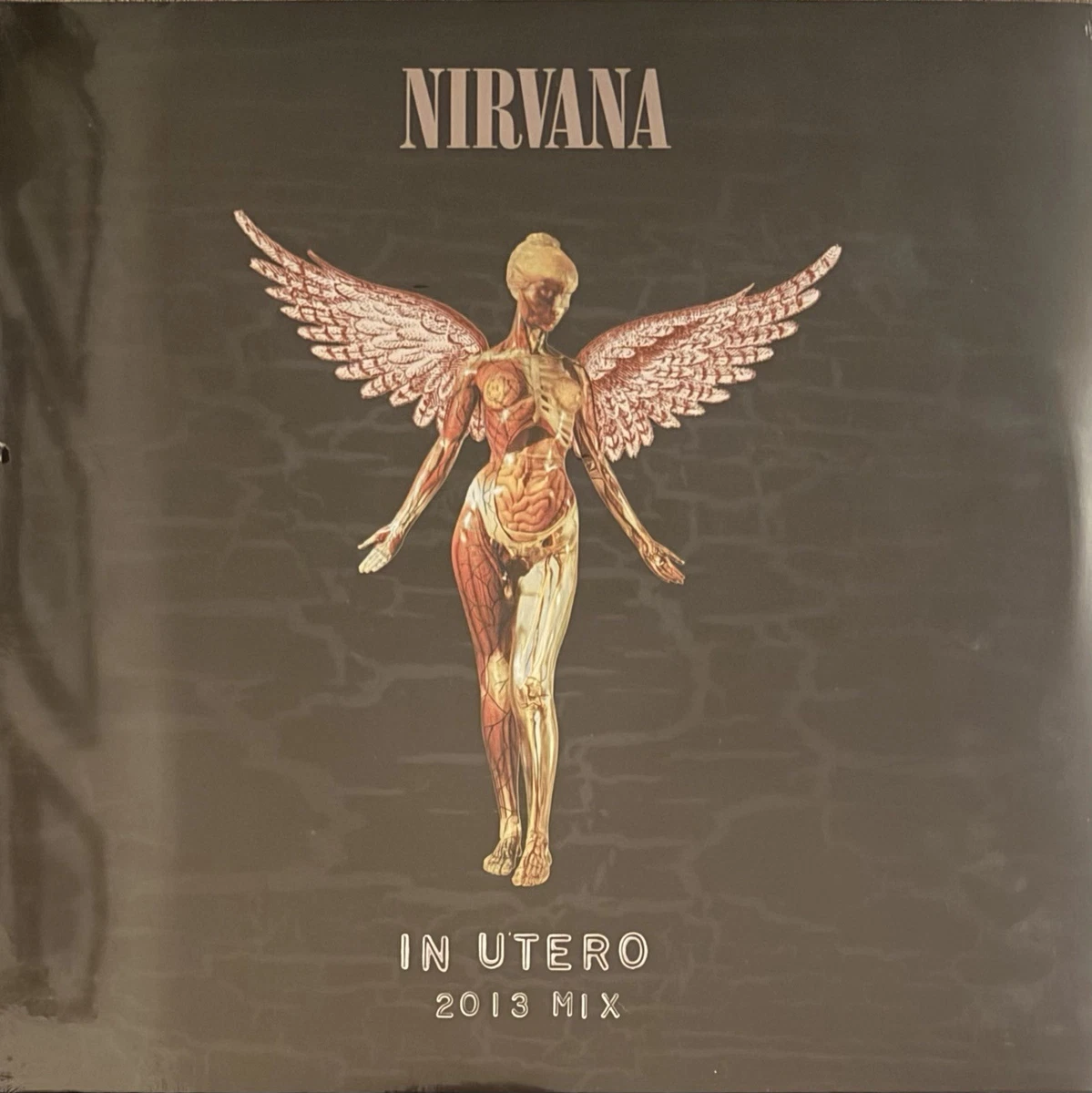 Las mejores ofertas en Nirvana in utero | eBay