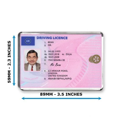 Mr Bean Novelty Driving Licence - Jumbo Fridge Magnet - By Mashed Designs