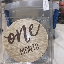Baby Monthly Milestone Marker Discs - Classic Cursive Script Wooden Discs with R