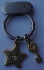 Weight Watchers 10 lb Key Ring WW Milestone Gold Key Star Charm
