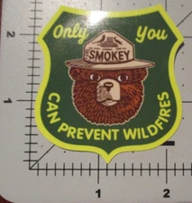 SMOKEY THE BEAR great pnw design #3 STICKER decal water bottle laptop H